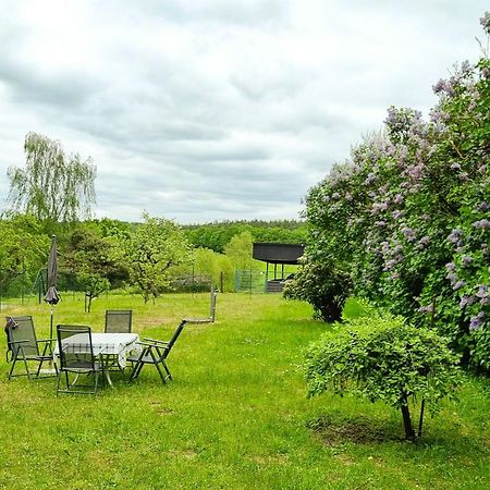 Appartamento Gutshaus Neu Necheln Bruel Esterno foto