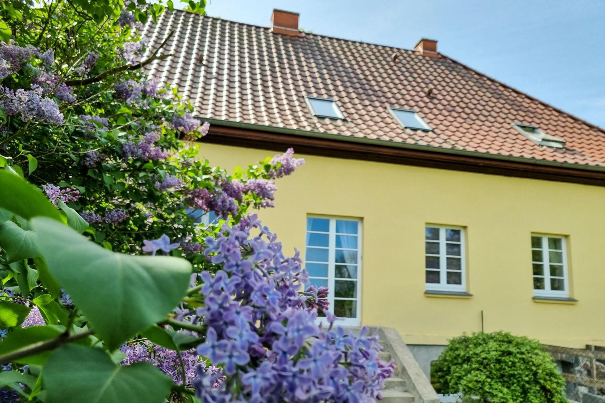 Appartamento Gutshaus Neu Necheln Bruel Esterno foto